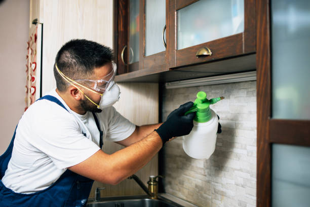 Best Best Pest Control Companies  in Carrollton, VA