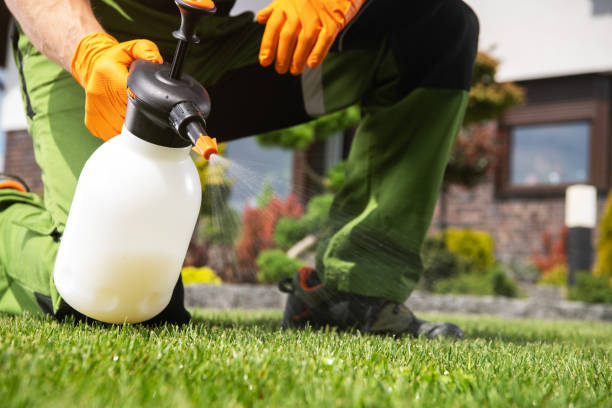 Best Bird Control  in Carrollton, VA