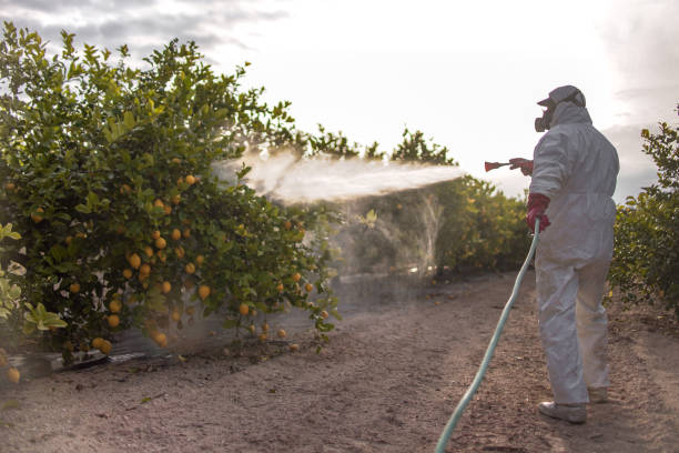 Insect Control in Carrollton, VA