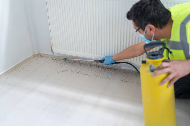 Best Bed Bug Extermination  in Carrollton, VA