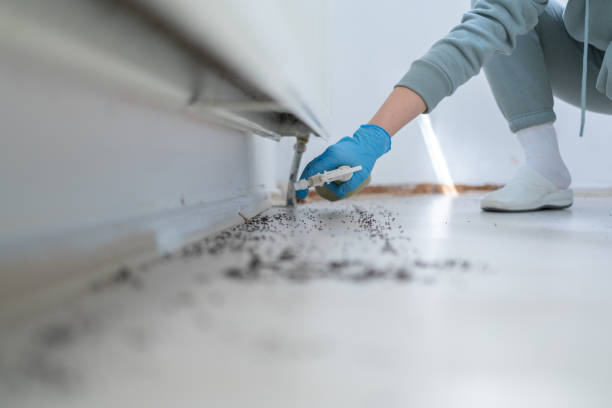 Best Pest Removal Services  in Carrollton, VA